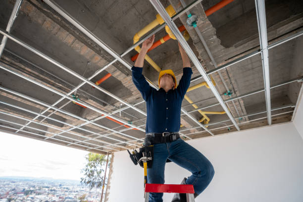 Best Same-Day Plumbing Service  in Iraan, TX
